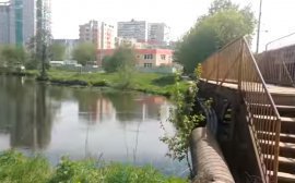 На реновацию долины реки Пехорки в Балашихе выделят 5 млрд рублей