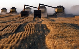 В России экспорт сельхозпродукции с начала года вырос на 29,2% 