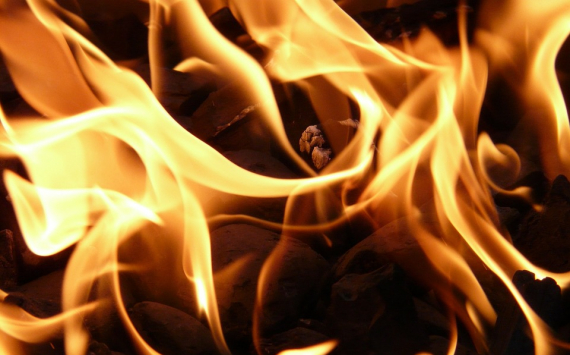 Неизвестные сожгли дом инициатора диалога с противниками экотехнопарка «Шиес»