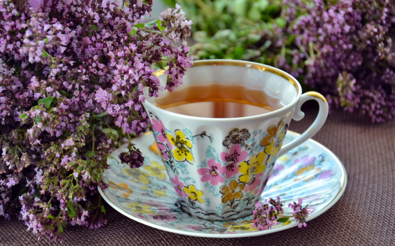 Эксперты: Правильно заваренный чай не вредит здоровью человека