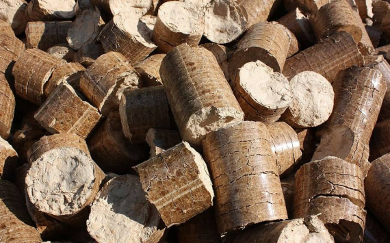 «Росатом» начал экспорт древесных топливных гранул в Европу