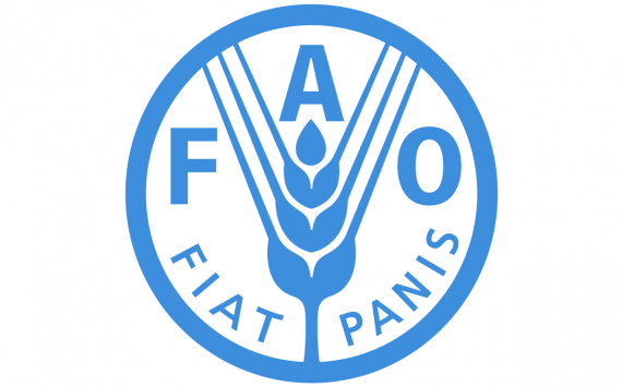 Компания «ФосАгро» стала партнёром Продовольственной и сельскохозяйственной организации ООН