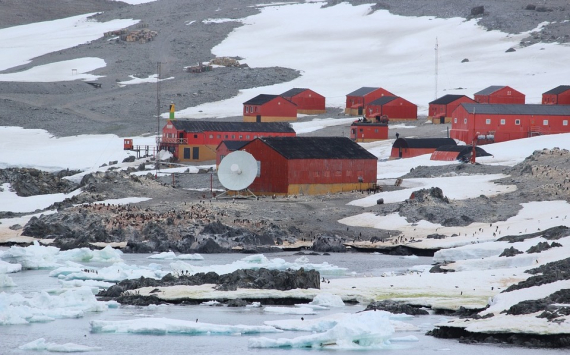 Михельсон потратит деньги от продажи акций «Новатэка» на строительство станции в Антарктиде