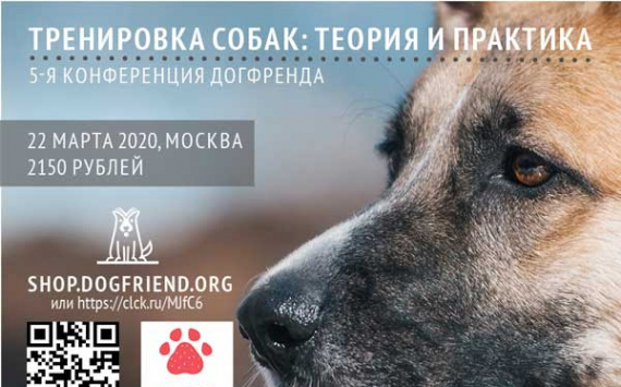 В Москве пройдет конференция «Тренировка собак: теория и практика»: пятая российская конференция по психологии собак