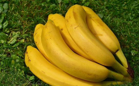 Эксперты назвали 3 полезных свойства банановой кожуры