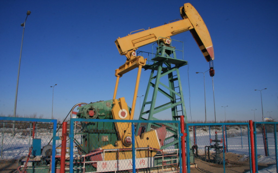 Александр Дюков: цены на нефть превысят $30 за баррель уже этим летом