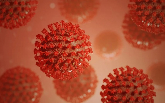 Эксперты назвали время жизни коронавируса на замороженных продуктах