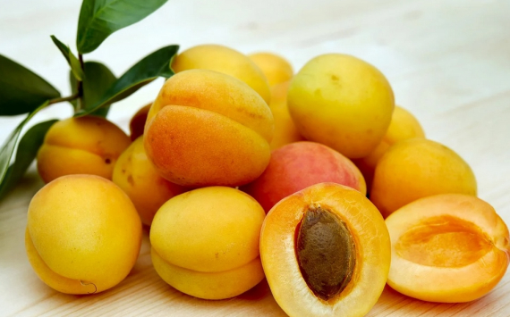 Специалисты перечислили полезные свойства абрикоса для красивой кожи