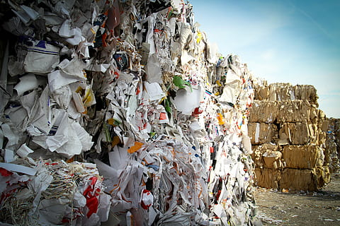 Раздельный сбор снизил количество мусора в Московской области на 1,5 миллиона тонн