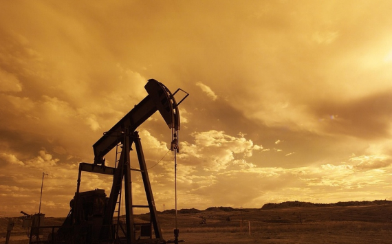 Глава Минэнерго Александр Новак спрогнозировал выход спроса на нефть на докризисный уровень в 2021 году
