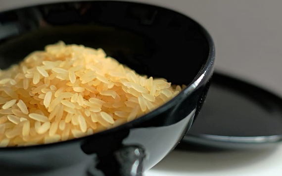 Учёные: Злоупотребление вареным рисом несёт смертельную опасность для организма