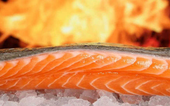 Ученые обнаружили способность лосося сохранять коронавирус в течение недели