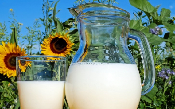 Проктолог объяснила, когда молоко и кефир вредят организму