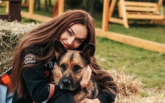 Фонд «Котодетки»: Алена Водонаева призвала поклонников помочь бездомным животным