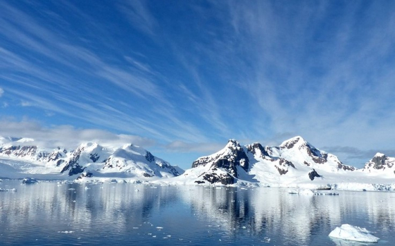 Российские микробиологи рассказали, что именно скрывается подо льдами Антарктиды