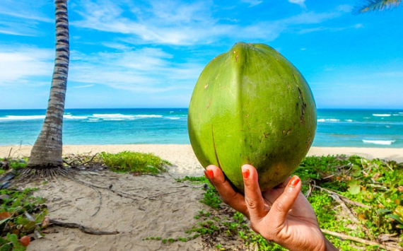 Учёные рассказали о пользе кокосовой воды