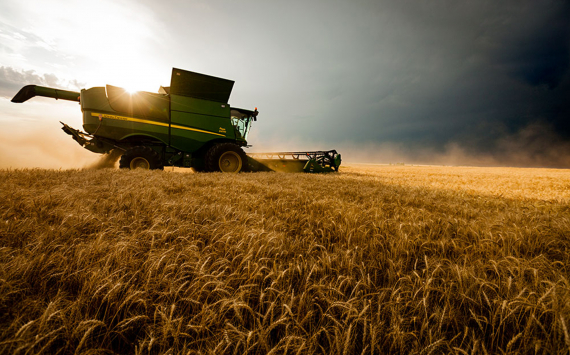 Сельхозпроизводство в России в январе - октябре выросло на 1,8%