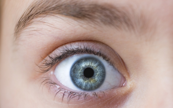 Катаракта и глаукома: почему важно своевременно поставить диагноз и при необходимости сделать операцию.
