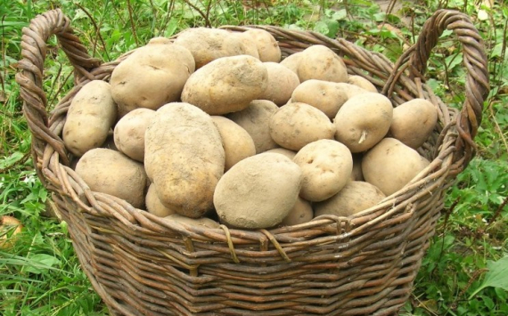 Медики назвали картофель средством для облегчения симптомов при ПМС