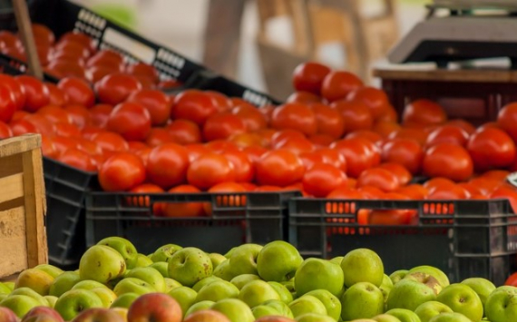 В Россельхознадзоре оценили влияние запрета поставок азербайджанских томатов на российскую экономику