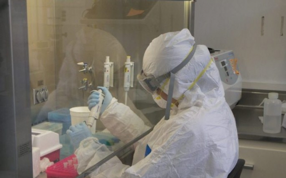 Первооткрыватель Эболы предупредил мир о новой опасной «Болезни Х»
