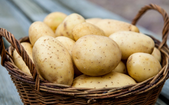 Ретейлеры ведут переговоры о поставках картофеля экономкласса