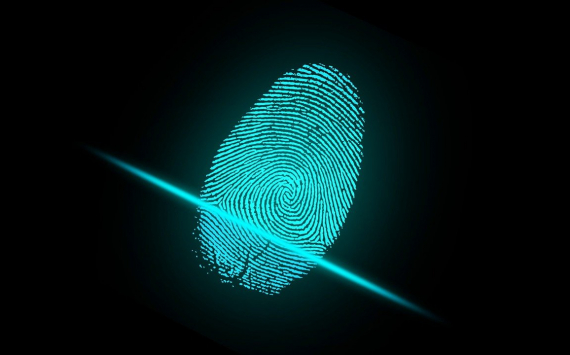 «Ростелеком» будет вести реестр доступа к биометрическим данным
