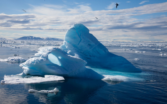 В Госдуму внесён законопроект об упрощении доступа МСП в Арктике к господдержке