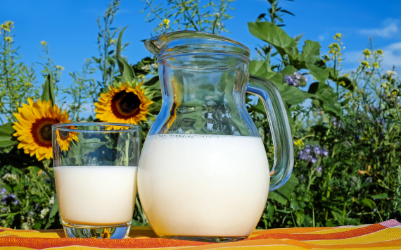 Эксперт рассказал об опасности разливного молока для здоровья