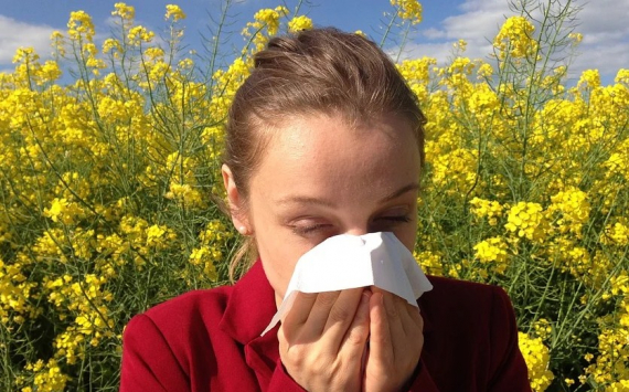 Медики объяснили отличие аллергии от ОРВИ
