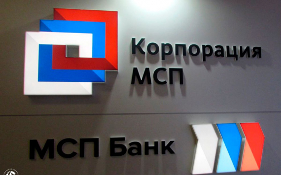 Малый бизнес в рамках зонтичного механизма получил кредиты на сумму более 1 млрд рублей