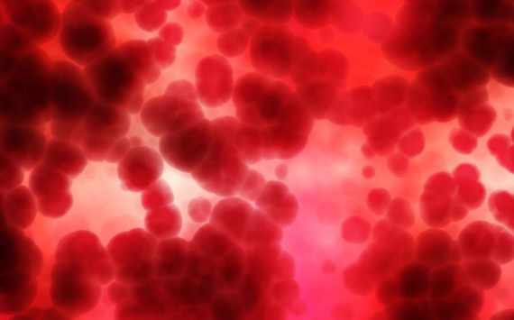 Доктор Мясников рассказал о существовании 35 групп крови