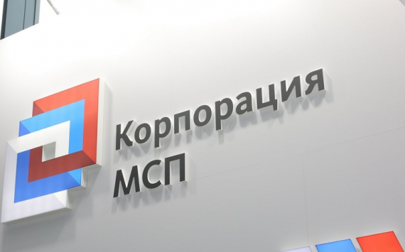 Российский бизнес получил более 1,1 тыс. кредитов под зонтичное поручительство