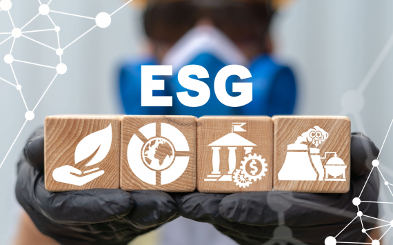 Эксперты допустили возможное появление ESG-стандарта для малого бизнеса