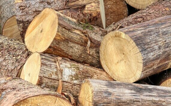 В России начали действовать повышенные ставки на экспорт леса