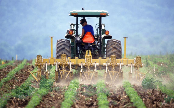 В помощь фермерам: внедрение современных технологий в сельское хозяйство становится все более востребовано