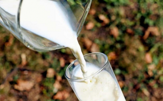 В Домодедове откроют цех по переработке молока