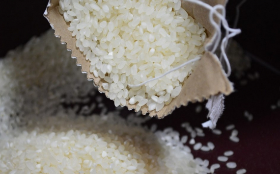 В России продлили временный запрет на экспорт риса