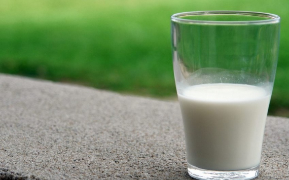 В Наро-Фоминске откроется ферма по переработке и хранению молока