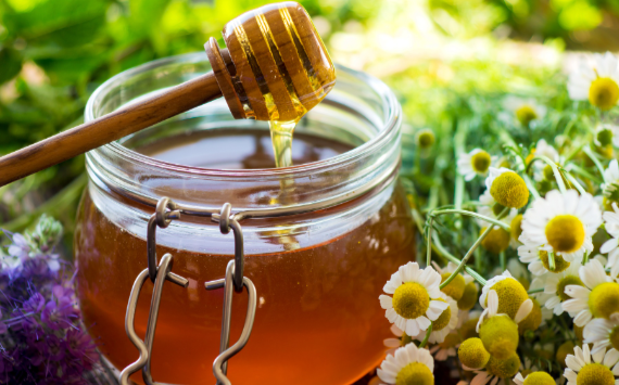 В Минсельхозе поддержали закон об определении понятия «мед»