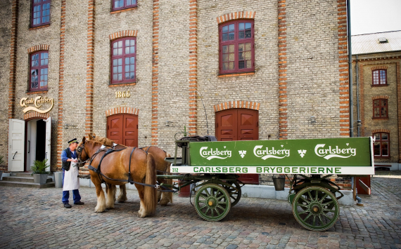 Датская пивоваренная компания раскрыла сроки выхода с российского рынка