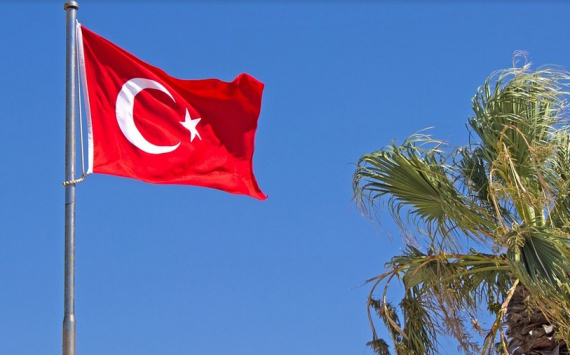 Внешнеторговый оборот Подмосковья и Турции вырос на 72,7%