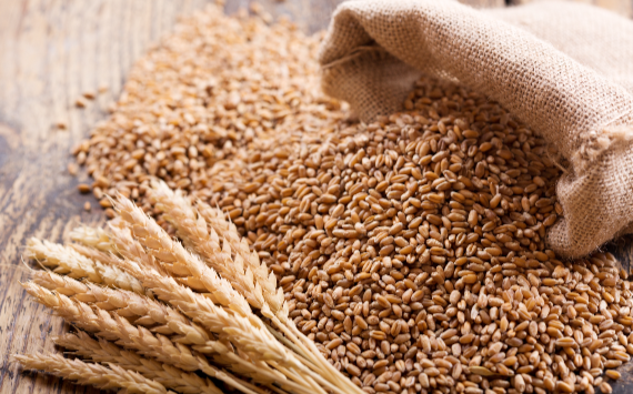 НТБ видит целесообразность привязки пошлин на зерно к индексу пшеницы