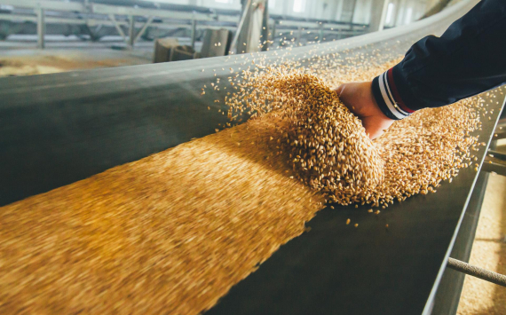 Министр Патрушев ожидает в ближайшем сельхозгоду объема экспорта зерновой продукции в 50-55 млн тонн