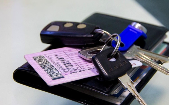Минцифры подготовило поправки в ПДД, приравнивающие электронное водительское удостоверение к бумажному