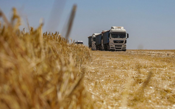 Выход из зерновой сделки потенциально может принести России больше 1 млрд долларов
