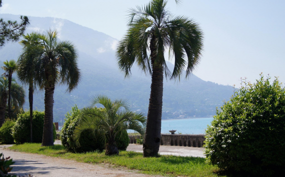 Эксперты туриндустрии РФ рассказали, как без проблем отдохнуть в Абхазии