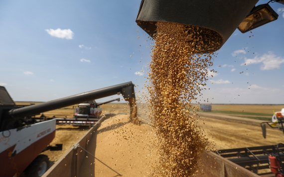 Россия вошла в пятерку лидеров по экспорту зерна в Бразилию