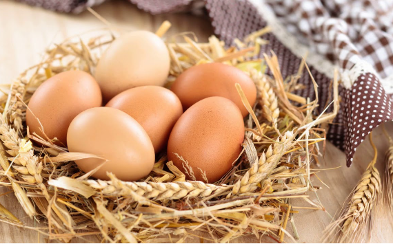 Министерство сельского хозяйства предложило ввести запрет на экспорт мяса птицы и яиц с 1 декабря