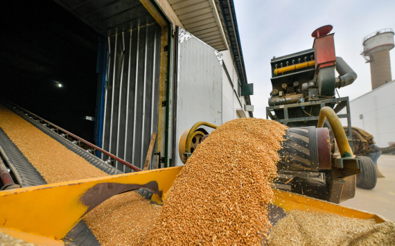 Глава Зернового союза считает, что Россия обречена на провал на мировом рынке зерна